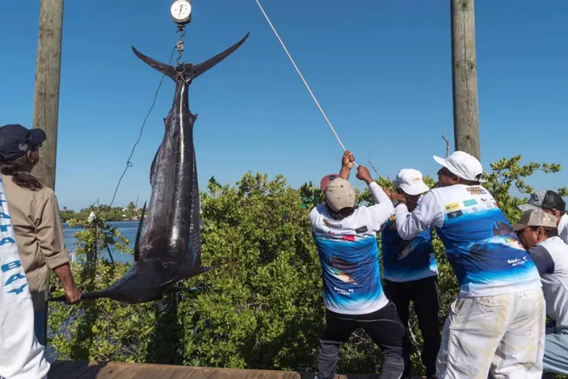En el torneo de 2018 el equipo ganador sacó un Marlin de 614 libras. No pierdas tu oportunidad de hacer historia. En el torneo de 2018 el equipo ganador sacó un Marlin de 614 libras. No pierdas tu oportunidad de hacer historia.