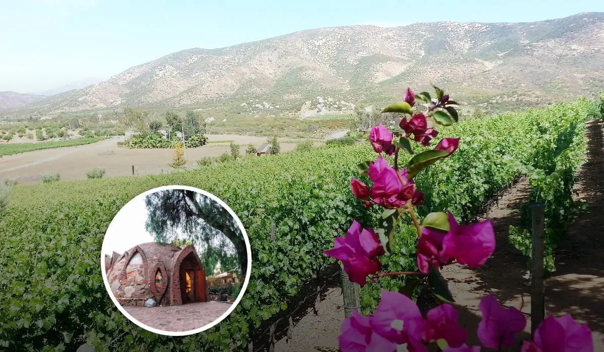 Lugares en donde pasar las vacaciones de verano en Baja California Foto: Tripavisor