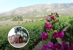 ¿Qué hacer en Baja California en Vacaciones de Verano 2025?