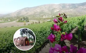 ¿Qué hacer en Baja California en Vacaciones de Verano 2025?