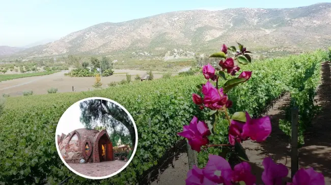 Lugares en donde pasar las vacaciones de verano en Baja California Foto: Tripavisor
