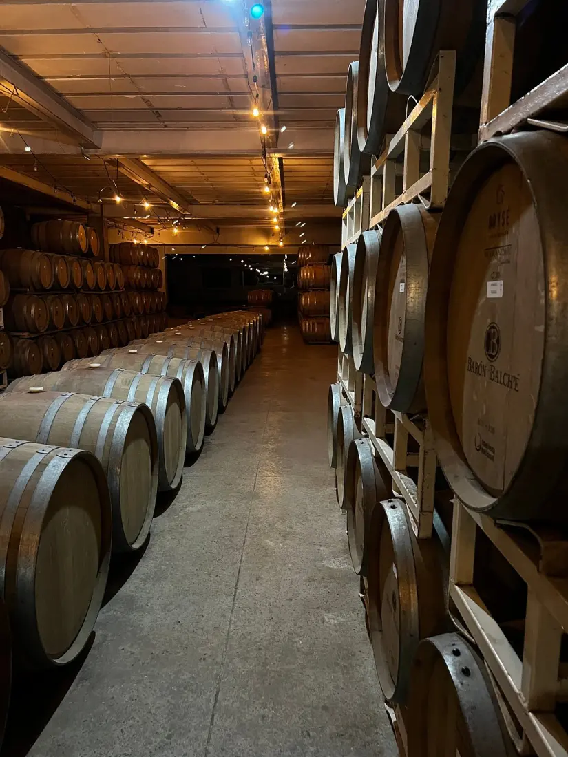 imagen recuadro Bodega de fermentación de vino en la Ruta del Vino Foto: Tripavisor