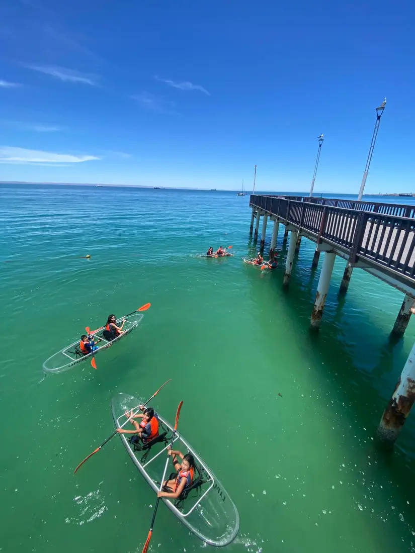 Actividades para realizar en BC Actividades para realizar en Baja California