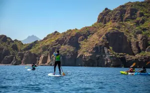 Cuándo es la mejor época para viajar a Baja California