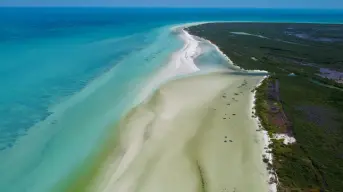 Guía para visitar Holbox: qué ver, cómo llegar y cuánto cuesta el ferry