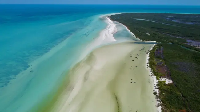 Estos son todos los detalles acerca de como llegar hasta la Isla de Holbox. Foto: Unsplash.