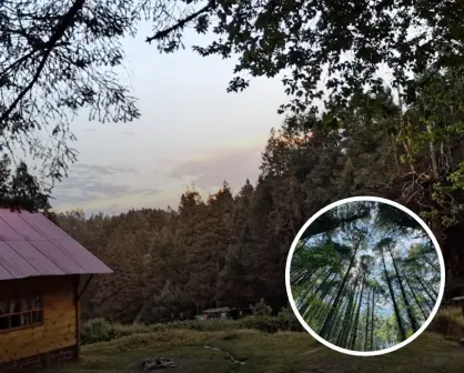 Peña de Lobos: un bosque encantado cerquita de CDMX