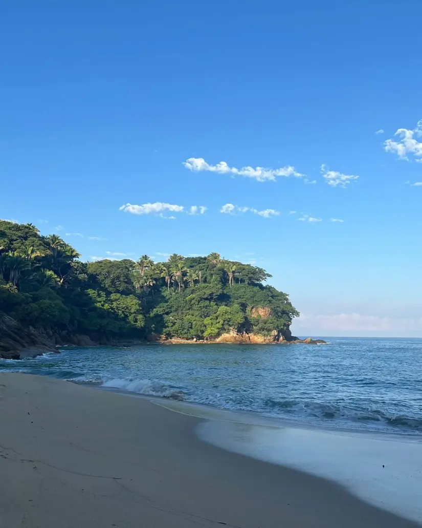 imagen recuadro De ser a una playa a ser una comunidad sostenible en Nayarit Foto: Monterrey Reserva Ecológica & Comunidad (Facebook)