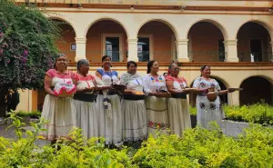 Disfruta de la sazón de las cocineras tradicionales en la Feria del Mole en San Lucas Atzala 2025
