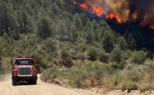 Baja California: incendios forestales en Tecate ya han sido controlados al 50%