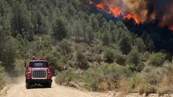 Baja California: incendios forestales en Tecate ya han sido controlados al 50%