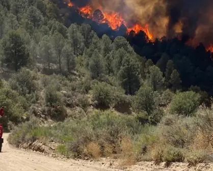 Baja California: incendios forestales en Tecate ya han sido controlados al 50%