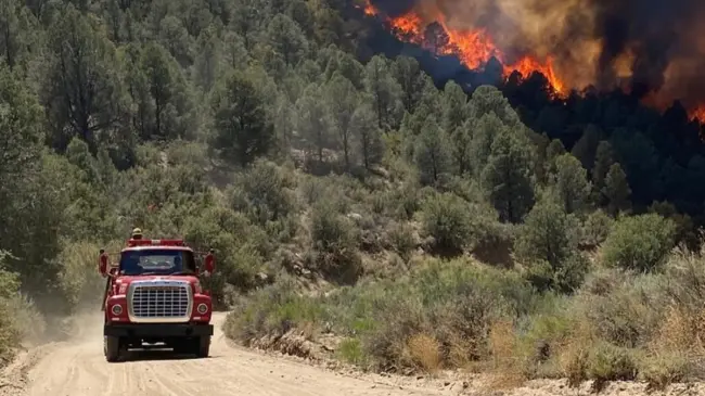 Los incendios comenzaron desde el pasado 16 de junio en la zona serrana de Tecate. Foto: Protección Civil