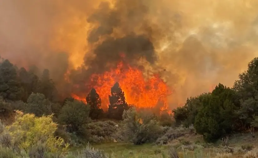 Baja California: incendios forestales en Tecate ya han sido controlados al 50% Hay que evitar acercarse a las zonas afectadas bajo cualquier circunstancia. Foto: Protección Civil Tecate