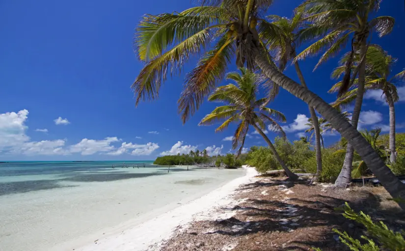 Estas son las playas libres de sargazo del caribe mexicano. Foto: Expedia. Estas son las playas libres de sargazo del caribe mexicano. Foto: Expedia.