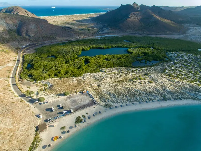 Conoce la hermosa Playa Balandra, ubicada en La Paz. Foto: Cortesía. Conoce la hermosa Playa Balandra, ubicada en La Paz. Foto: Cortesía.