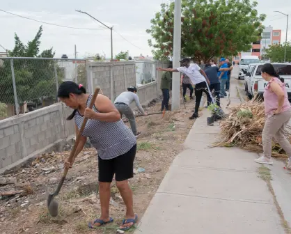Culiacán: Unidos por una colonia más limpia, verde y digna en Lomas de San Isidro