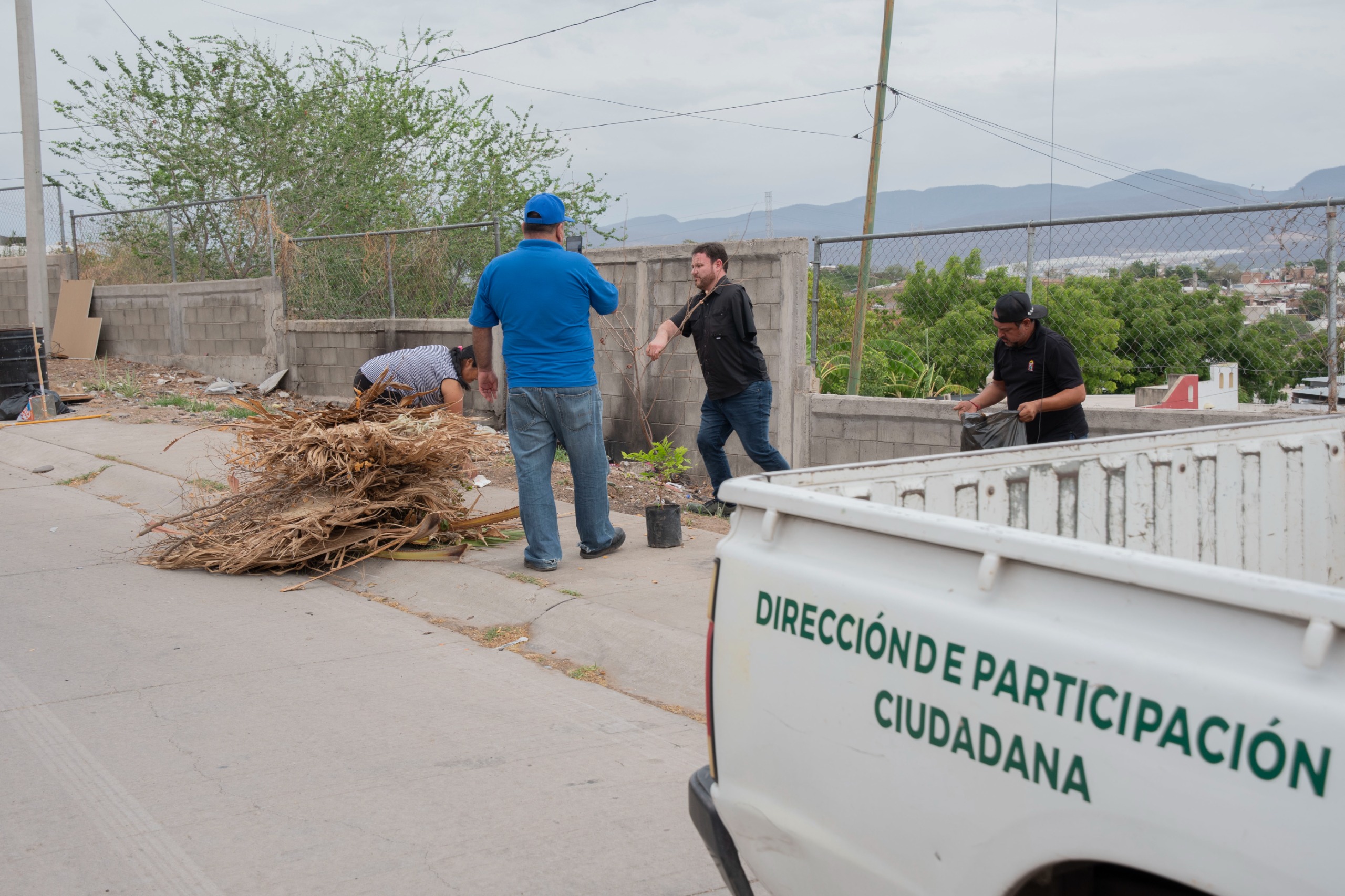 Imagen 1