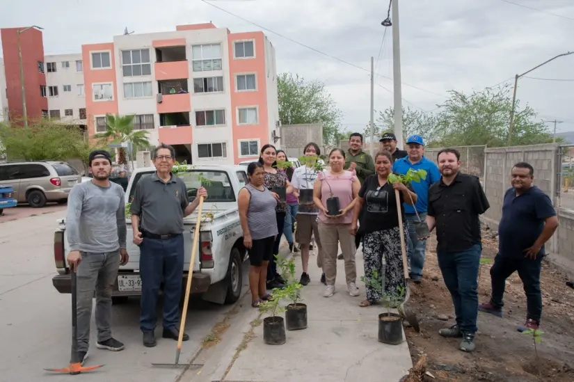 Plantan árboles y limpian escombros en jornada de transformación vecinal. La fuerza de la comunidad y gobierno transforma escombros en esperanza y entorno saludable. Foto: Ayuntamiento de Culiacán