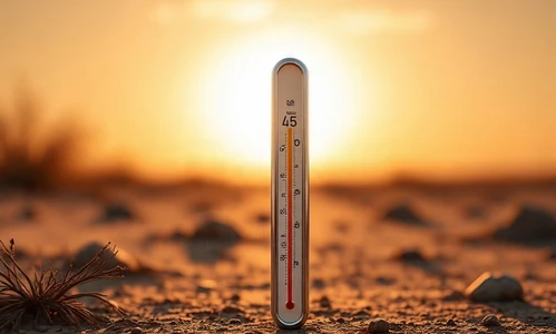 Intensa onda de calor llega a Baja California: clima de hoy 22 de julio