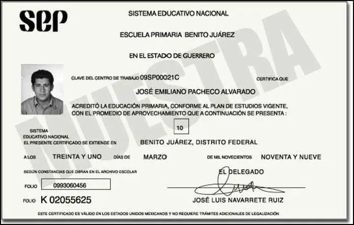 imagen recuadro Muestra del certificado escolar SEP foto: Gobierno de México
