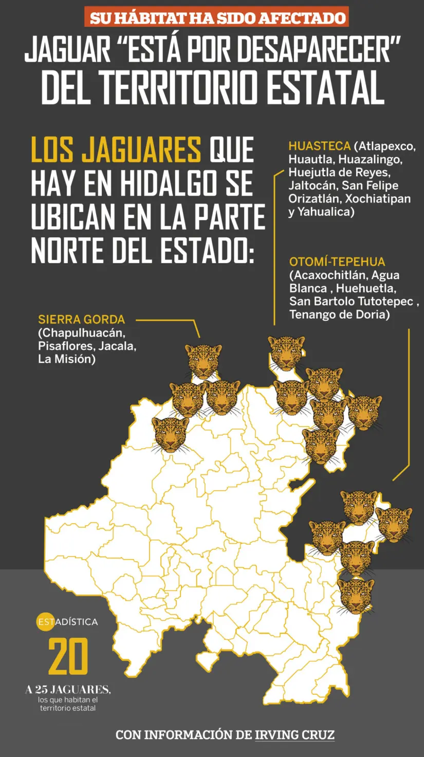 Los ejemplares que esxisten de está especie en territorio estatal están a punto de desaparecer. Foto: Cortesía. Los ejemplares que esxisten de está especie en territorio estatal están a punto de desaparecer. Foto: Cortesía.