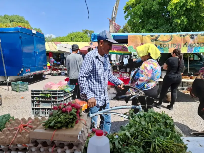 El tianguis es uno de sus puntos de venta en Villa Juárez, Navolato