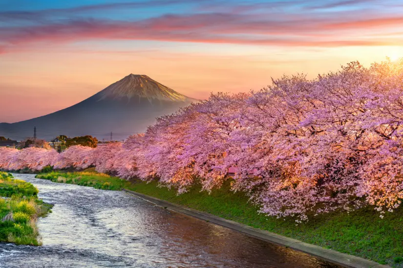 ¿Cuál es la mejor época para ir a Japón? Estos son los destinos más populares. Foto: Cortesía