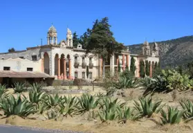 Museo del Maguey y el Pulque en Hidalgo, dónde se ubica, horarios y costo de entrada