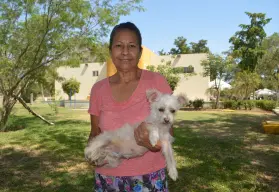Una historia que inspira: Norma y "Chiquita", ejemplo de amor y respeto hacia los animales en Culiacán