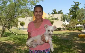 Una historia que inspira: Norma y “Chiquita”, ejemplo de amor y respeto hacia los animales en Culiacán