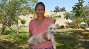 Una historia que inspira: Norma y “Chiquita”, ejemplo de amor y respeto hacia los animales en Culiacán