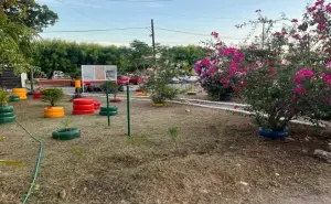 De un rincón olvidado al alma de Infonavit Barrancos II. Así revivió el parque que une a toda la colonia