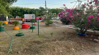 De un rincón olvidado al alma de Infonavit Barrancos II. Así revivió el parque que une a toda la colonia