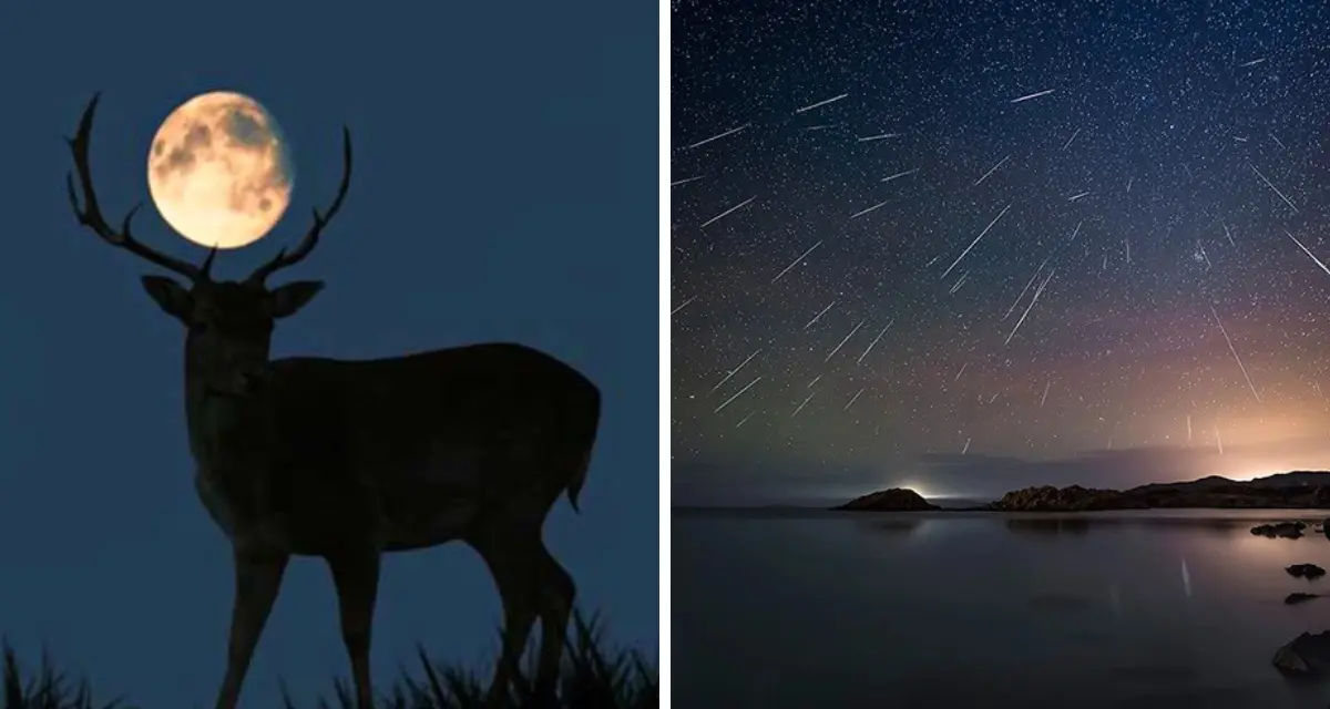No te pierdas los eventos astronomicos más importantes del mes de Julio. Foto: Cortesía.