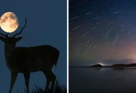 Luna de Ciervo y lluvia de meteoros; conoce los eventos astronómicos del mes de julio