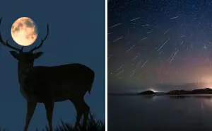 Luna de Ciervo y lluvia de meteoros; conoce los eventos astronómicos del mes de julio