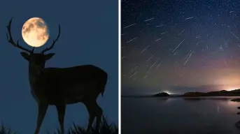 Luna de Ciervo y lluvia de meteoros; conoce los eventos astronómicos del mes de julio