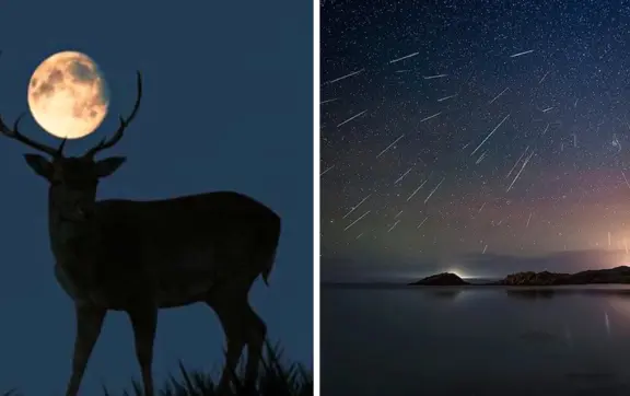 Luna de Ciervo y lluvia de meteoros; conoce los eventos astronómicos del mes de julio