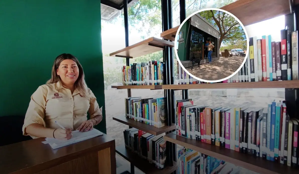 Un rincón de lectura entre árboles y tranquilidad en el Parque Culiacán 87. Foto: IMCC