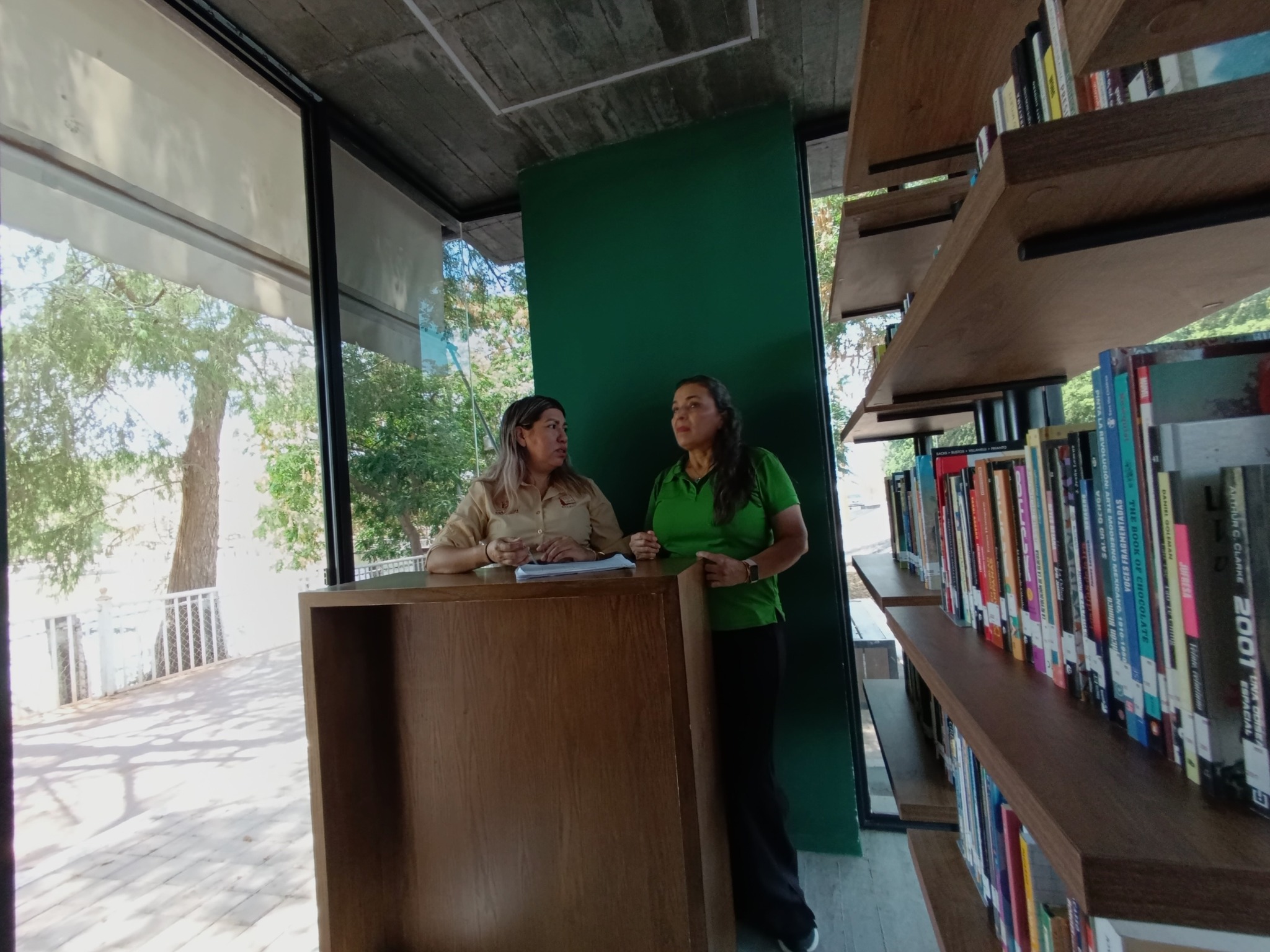 Imagen 2