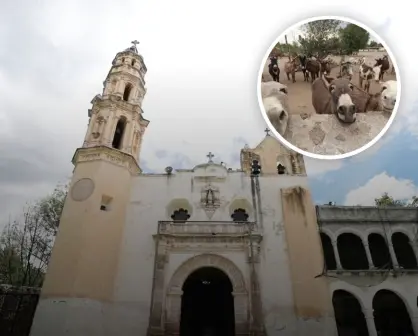 El pueblo Mágico del Edomex que se distingue por tener un santuario de burros