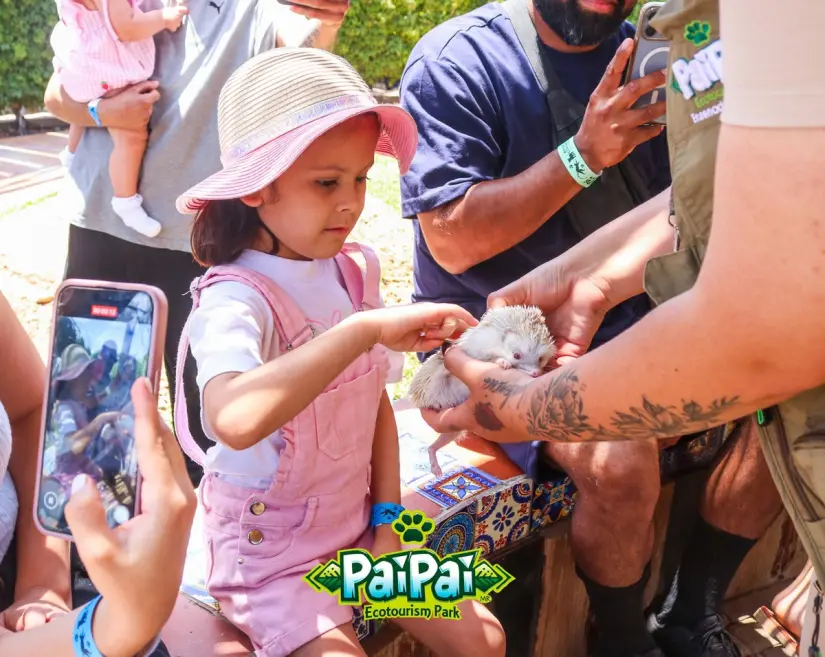 imagen recuadro Un centro que resguarda distintas especies en la que los visitantes pueden interactuar Foto: Parque Ecoturístico PaiPai (Facebook)