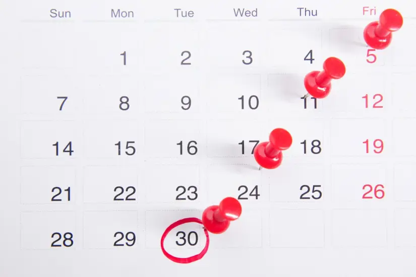 Aquí puedes checar las fechas importantes del calendario del ciclo escolar 2025-2026. Foto: Cortesía. Aquí puedes checar las fechas importantes del calendario del ciclo escolar 2025-2026. Foto: Cortesía.