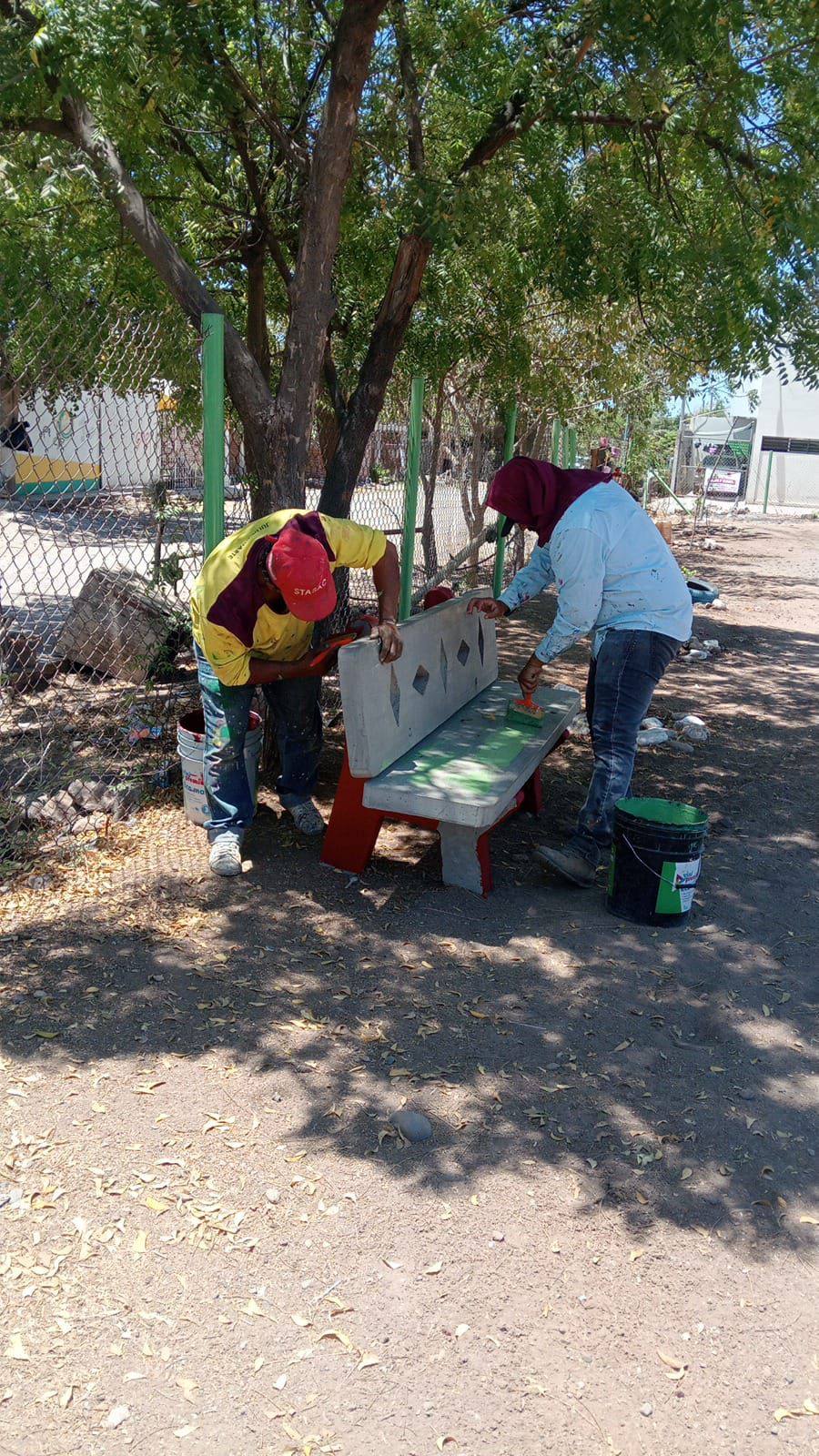 Imagen 6