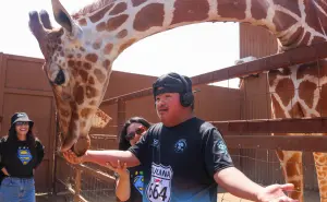 PaiPai: el parque ecoturístico en Ensenada donde puedes convivir con felinos, jirafas y lémures