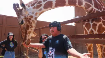 PaiPai: el parque ecoturístico en Ensenada donde puedes convivir con felinos, jirafas y lémures
