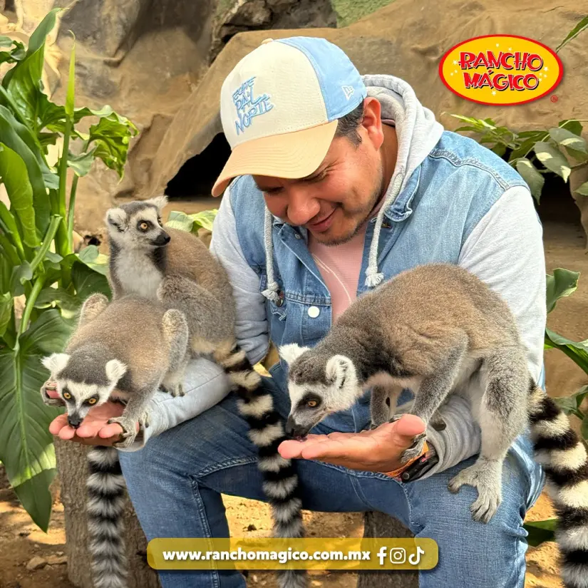 imagen recuadro Los pases varias del precios en donde se adquiere y sus beneficios Foto: Rancho Mágico