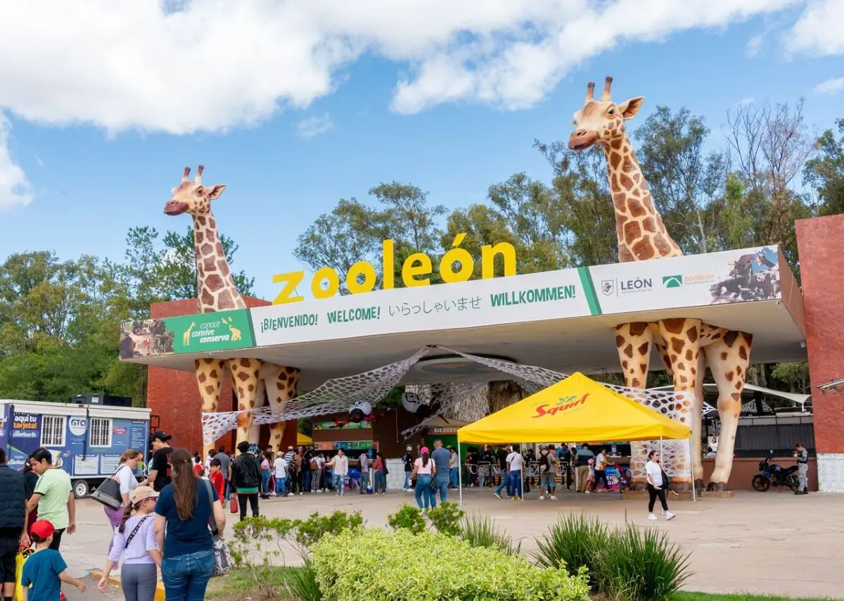 Zoológico de León, una opción para recorrer en vacaciones. Foto: Cortesía