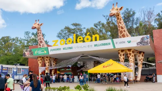 Zoológico de León, una opción para recorrer en vacaciones. Foto: Cortesía